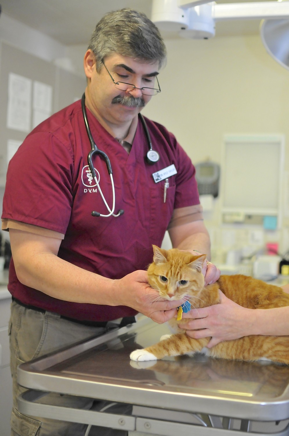 Auburn South Veterinary Hospital Auburn, WA Our Doctors